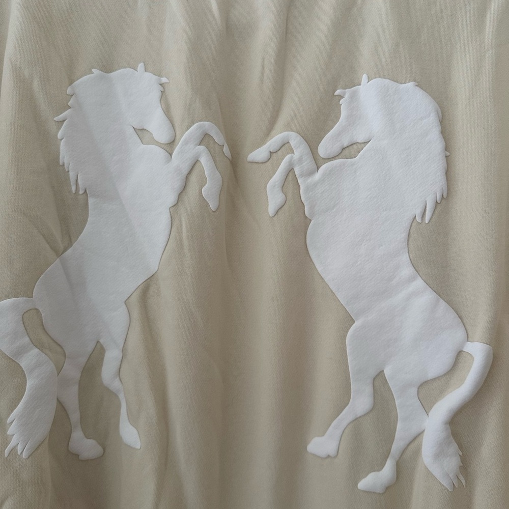 Wildfox Crewneck roadtrip Sweatshirt size L pony